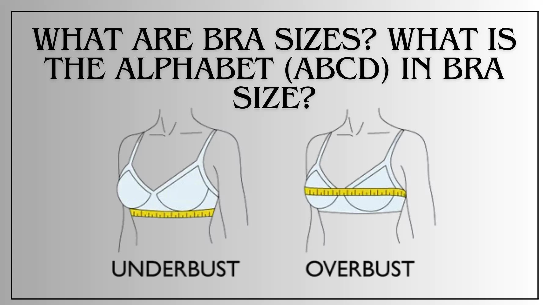 What Are Bra Sizes? What is the Alphabet (ABCD) in Bra Size?