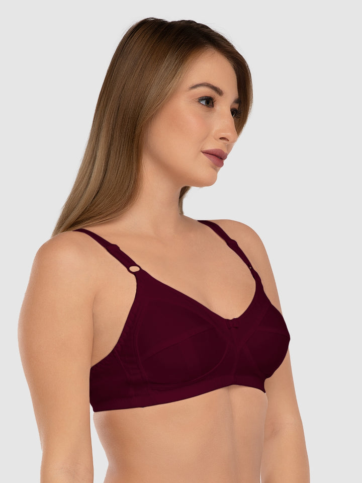 Daisy Dee Black and D. Maroon Non Padded Non Wired Full Coverage Bra Pack of 2 - NSHPU-2PK-BLACK/D. MAROON