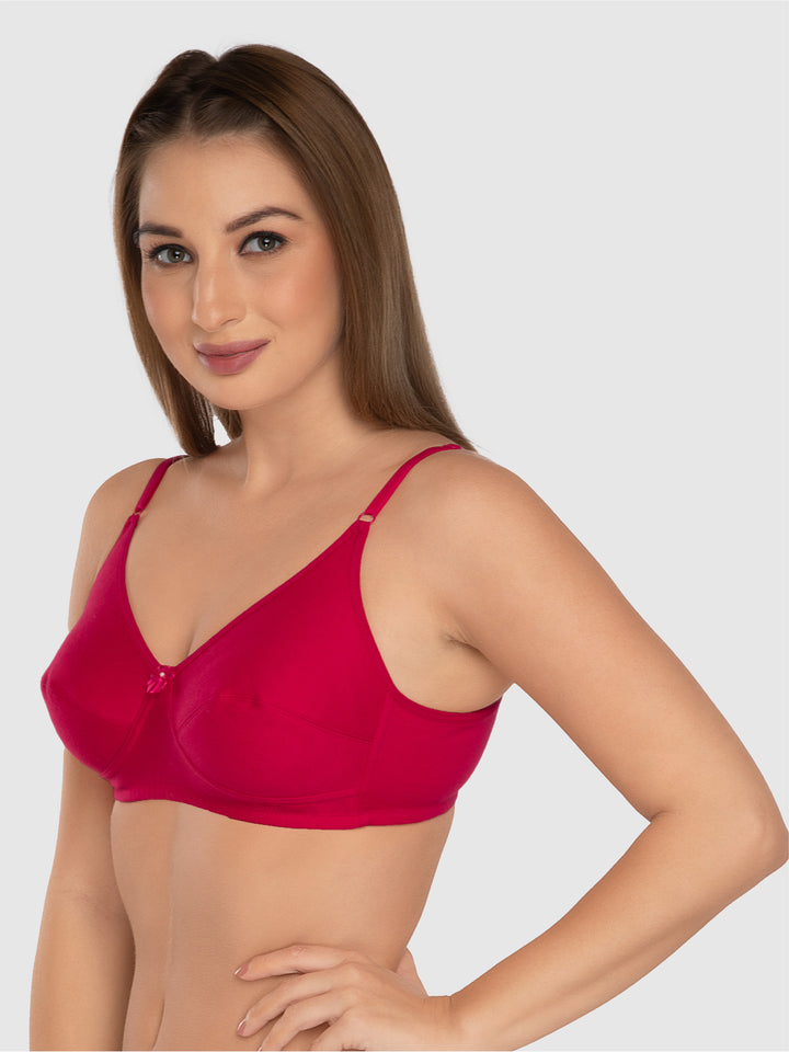 Daisy Dee Rose Pink and Crimson Red Non Padded Non-Wired Full Coverage Bra Pack of 2 - NSARH-R.PINK/CRIMSON RED