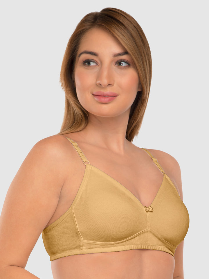 Daisy Dee Carrot and Skin Non Padded Non-Wired Full Coverage T-Shirt Bra Pack of 2 - NDSZN-Carrot/Skin
