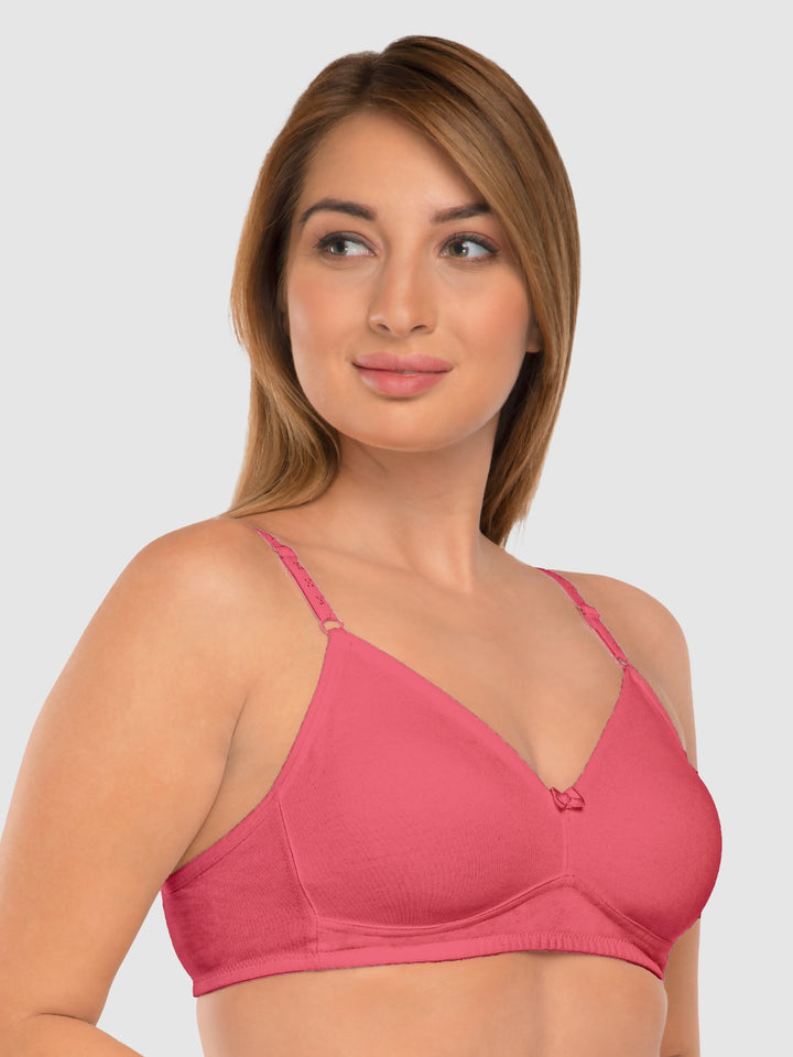 Daisy Dee Carrot and E.Blue Non Padded Non-Wired Full Coverage T-Shirt Bra Pack of 2 - NDSZN-Carrot/E.Blue