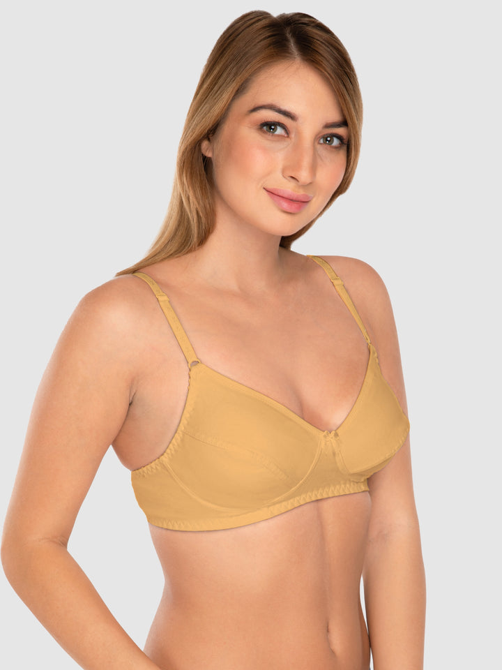 Daisy Dee Skin and Rani Pink Non Padded Wirefree Full Coverage T-Shirt Bra Pack of 2 - NCLBR-SKIN/R.PINK