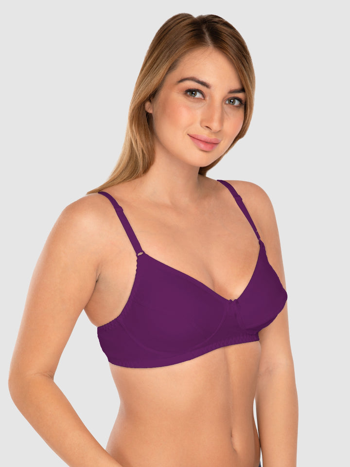 Daisy Dee Black and Wine Non Padded Wirefree Full Coverage T-Shirt Bra Pack of 2 - NCLBR-BLACK/WINE