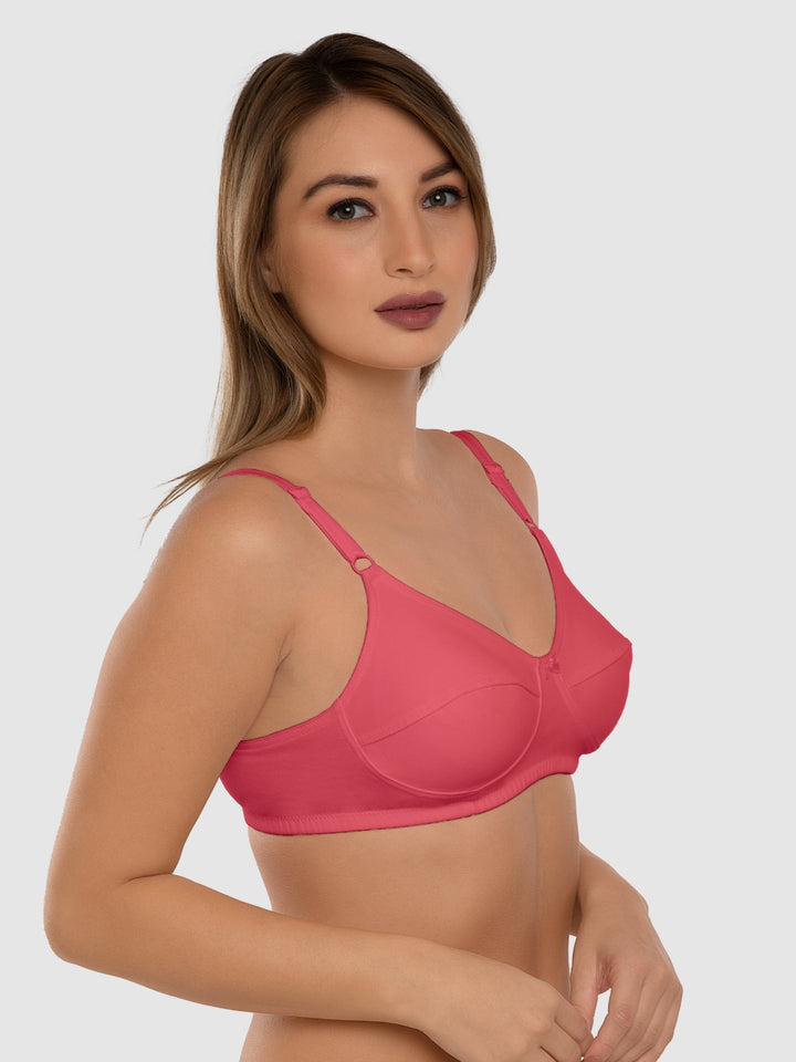 Daisy Dee Carrot and White Non Padded Non-Wired Full Coverage Bra Pack of 2 - NSHTL-CARROT/WHITE