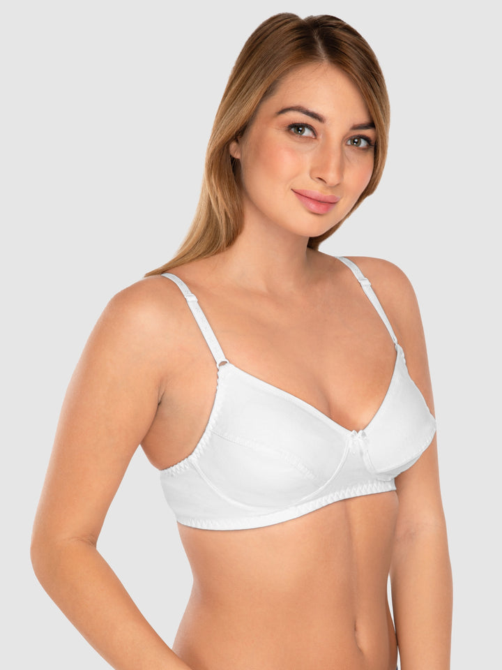 Daisy Dee White and Maroon Non Padded Wirefree Full Coverage T-Shirt Bra Pack of 2 - NCLBR-WHITE/MAROON