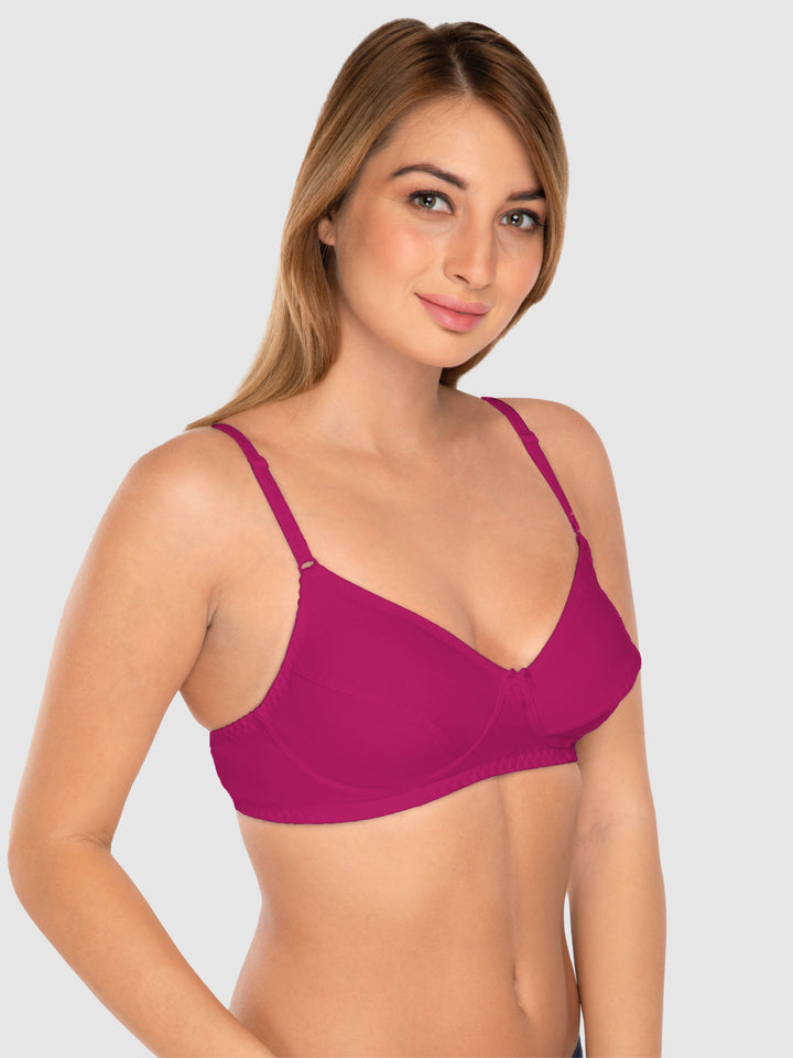 Daisy Dee Maroon and Rani Pink Non Padded Wirefree Full Coverage T-Shirt Bra Pack of 2 - NCLBR-MAROON/R.PINK