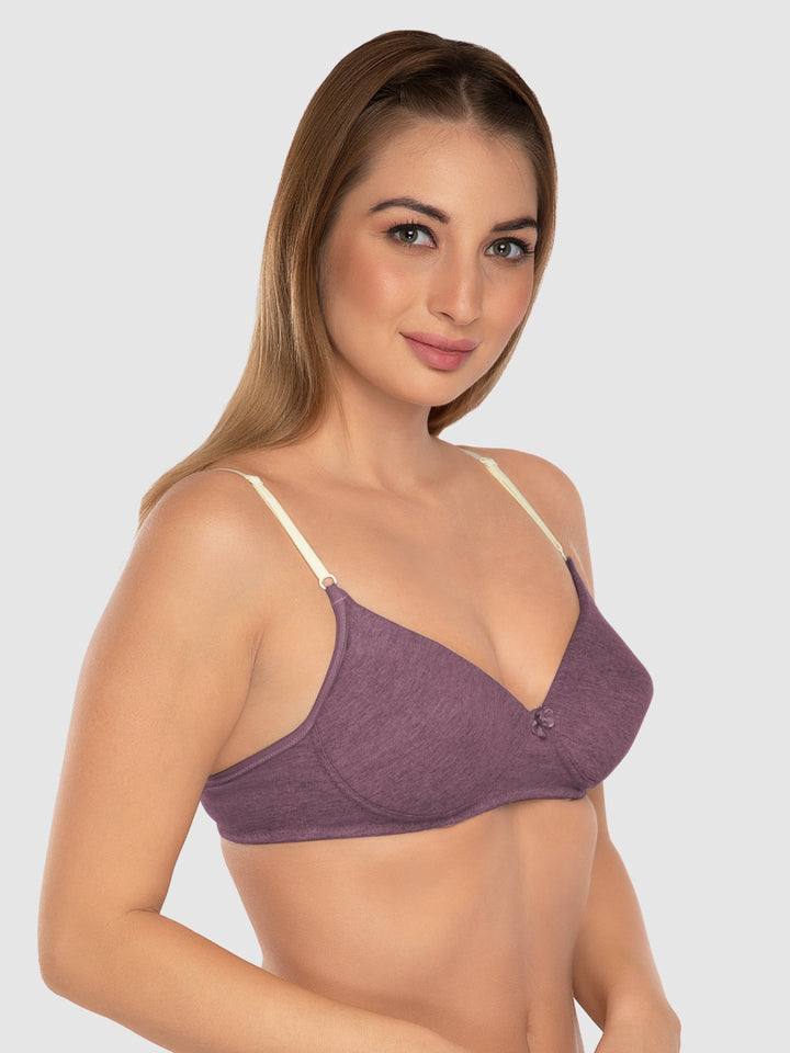 Daisy Dee Denim Blue and Wine Padded Non-Wired Full Coverage Bra Pack of 2 - NJZZ-D.BLUE/WINE