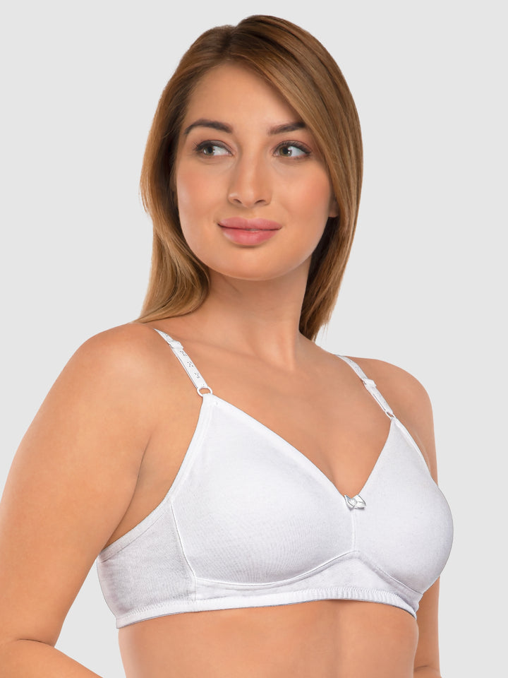 Daisy Dee Carrot and White Non Padded Non-Wired Full Coverage T-Shirt Bra Pack of 2 - NDSZN-Carrot/White