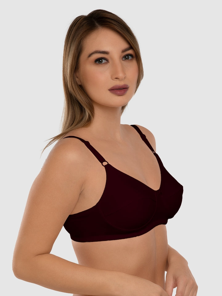 Daisy Dee Black and Maroon Non Padded Non-Wired Full Coverage Bra Pack of 2 - NSHTL-BLACK/MAROON