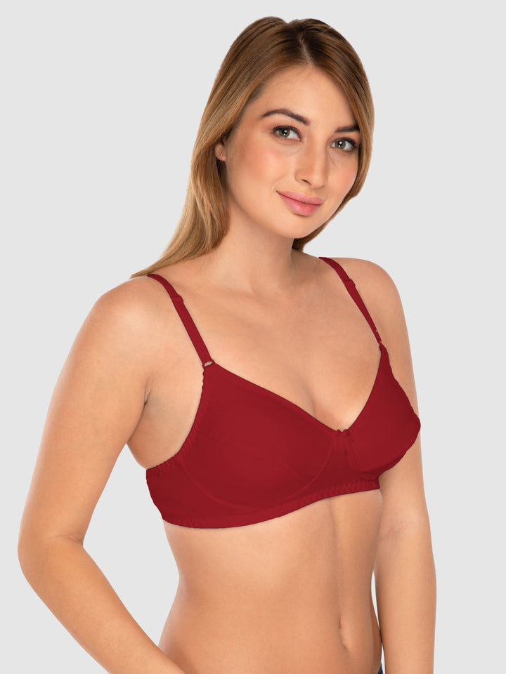 Daisy Dee Black and Maroon Non Padded Wirefree Full Coverage T-Shirt Bra Pack of 2 - NCLBR-BLACK/MAROON