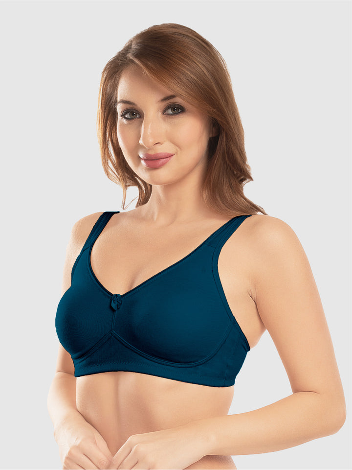 Daisy Dee Dusty Rose and E. Blue Non Padded Non-Wired Full Coverage T-Shirt Bra Pack of 2 - NDLGHT-D.Rose/E.Blue