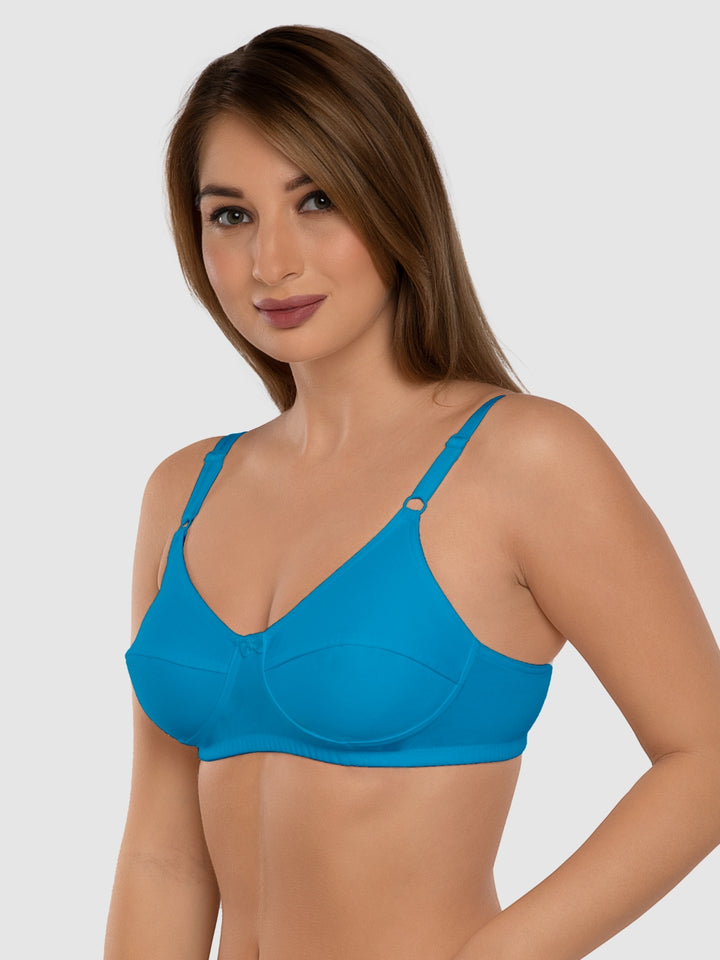 Daisy Dee T.Blue and Maroon Non Padded Non-Wired Full Coverage Bra Pack of 2 - NSHTL-T.BLUE/MAROON