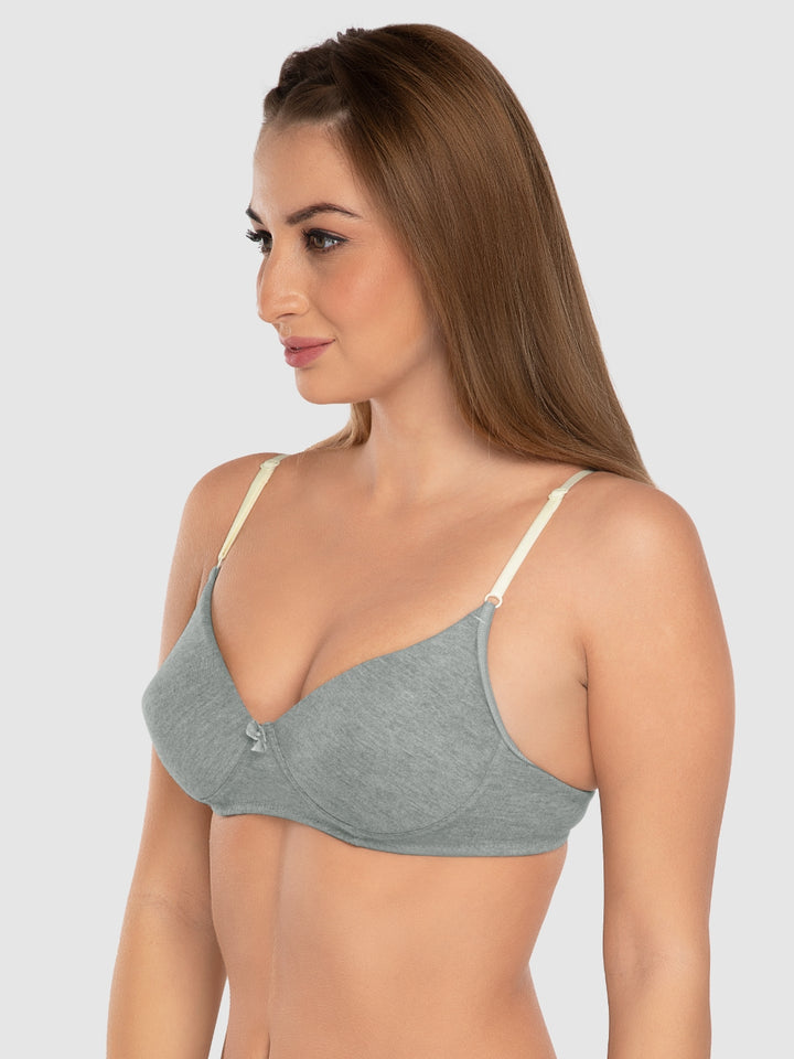 Daisy Dee Light Grey and Wine Padded Non-Wired Full Coverage Bra Pack of 2 - NJZZ-L.GREY/WINE