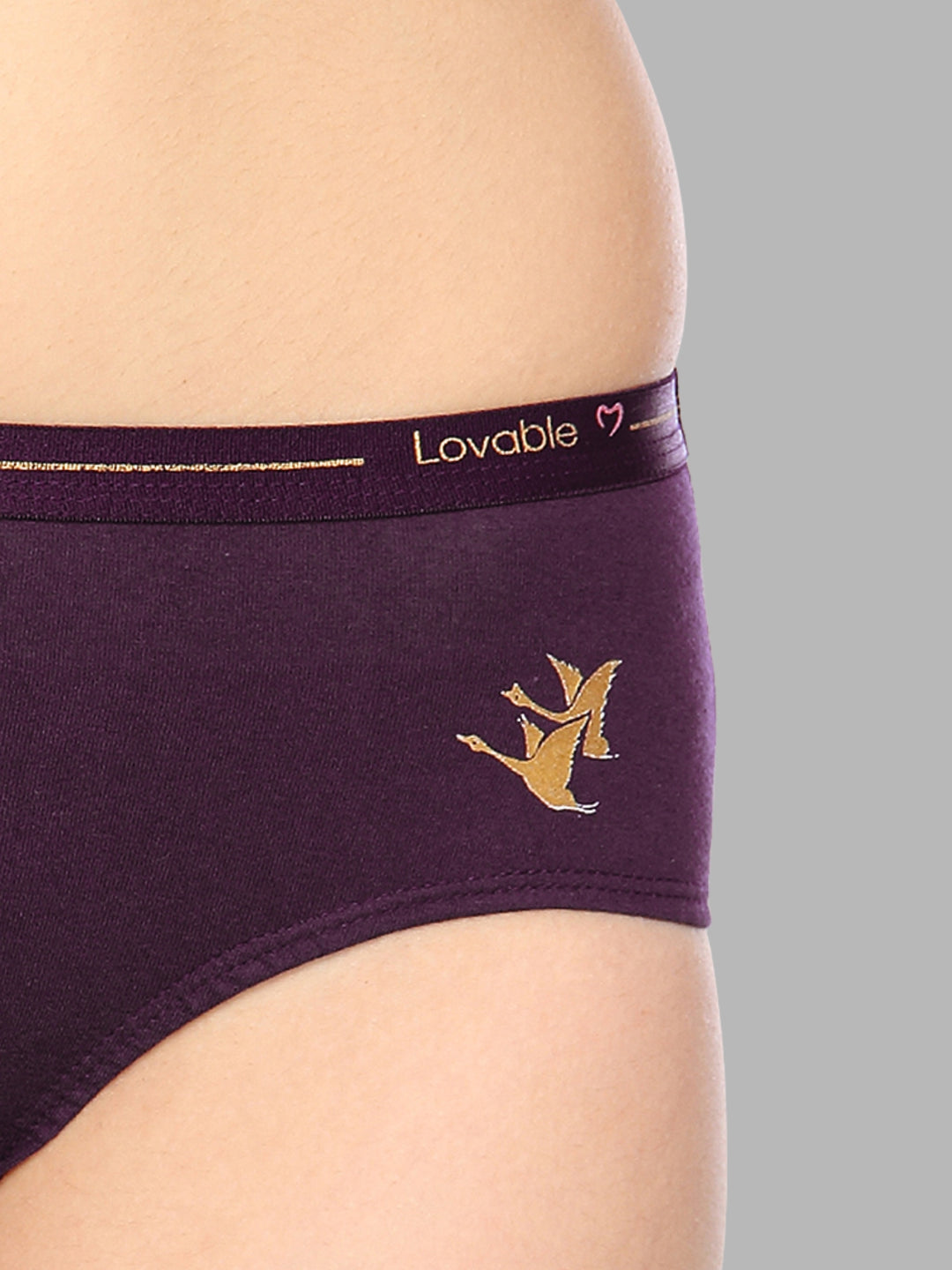 Women Multicolour Solid Hipster Panty - GLITTERS
