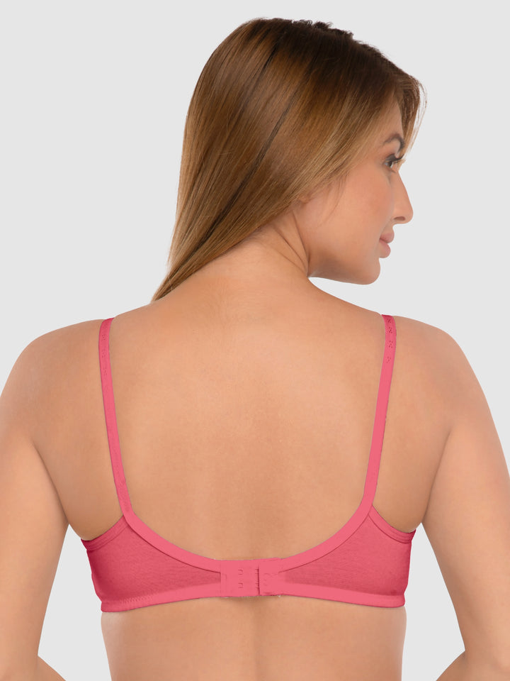 Daisy Dee Carrot and E.Blue Non Padded Non-Wired Full Coverage T-Shirt Bra Pack of 2 - NDSZN-Carrot/E.Blue