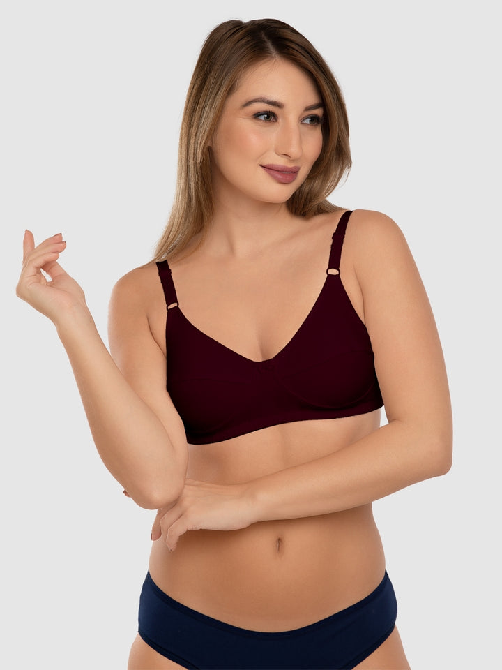 Daisy Dee Skin and Maroon Non Padded Non-Wired Full Coverage Bra Pack of 2 - NSHTL-SKIN/MAROON