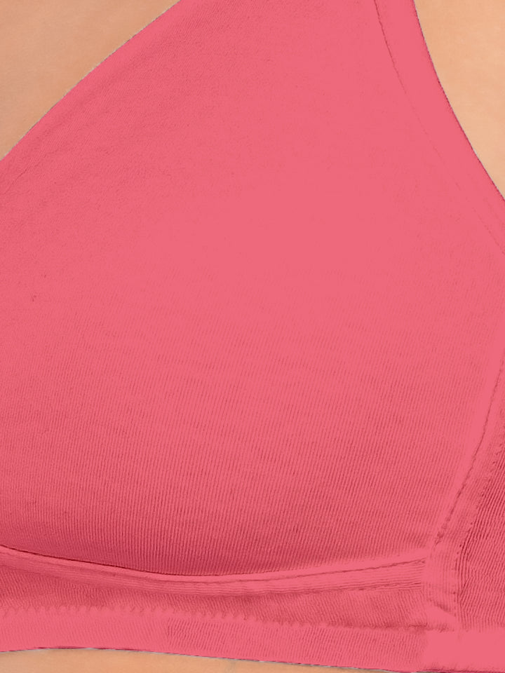 Daisy Dee Carrot and E.Blue Non Padded Non-Wired Full Coverage T-Shirt Bra Pack of 2 - NDSZN-Carrot/E.Blue