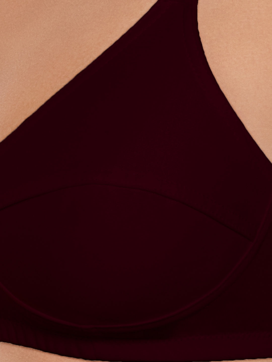 Daisy Dee T.Blue and Maroon Non Padded Non-Wired Full Coverage Bra Pack of 2 - NSHTL-T.BLUE/MAROON