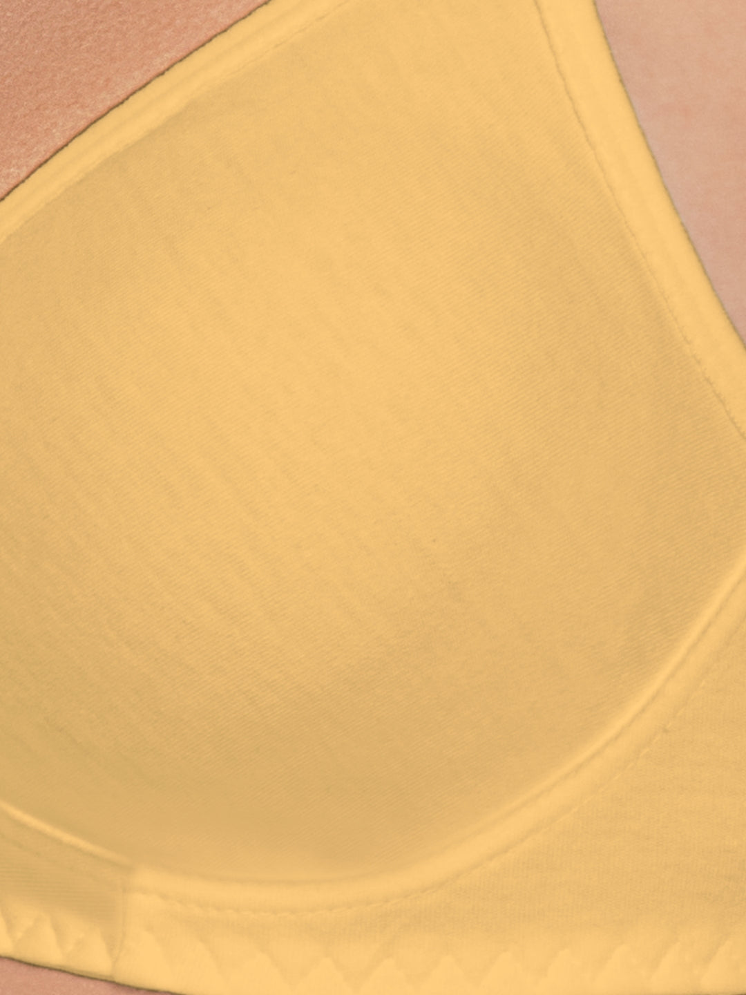 Daisy Dee White and Skin Non Padded Non-Wired Full Coverage Bra Pack of 2 - NSTRD-White/Skin