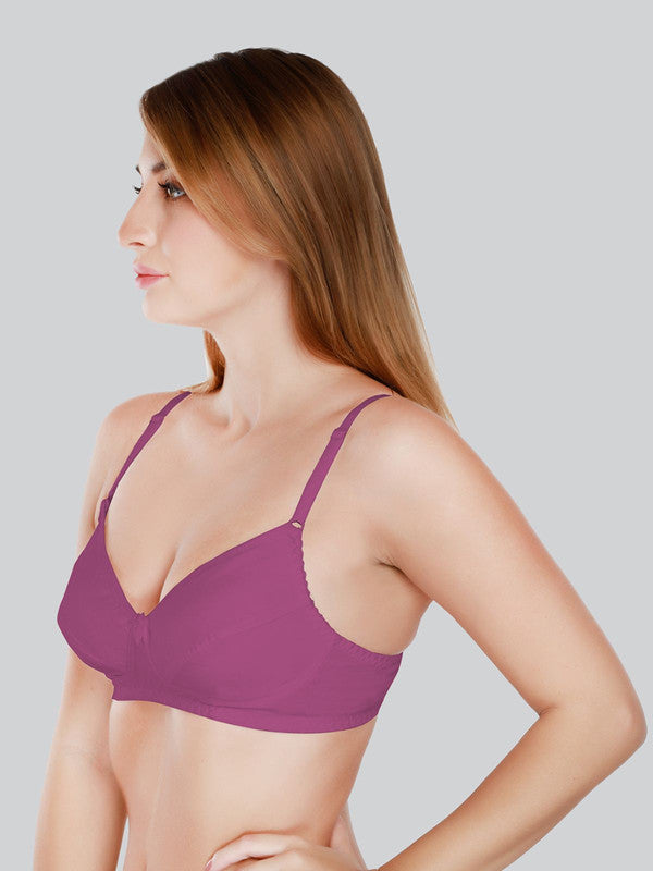 Daisy Dee Wine Non Padded Non Wired Full Coverage Bra NCLBR_Wine-Lovable India