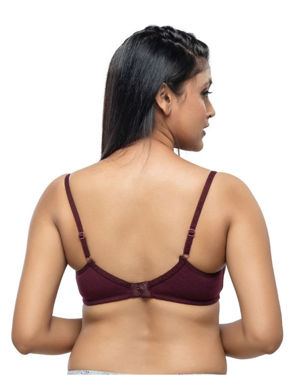 Daisy Dee Dark Brown Padded Non Wired Full Coverage Bra SAVANA-D Brown
