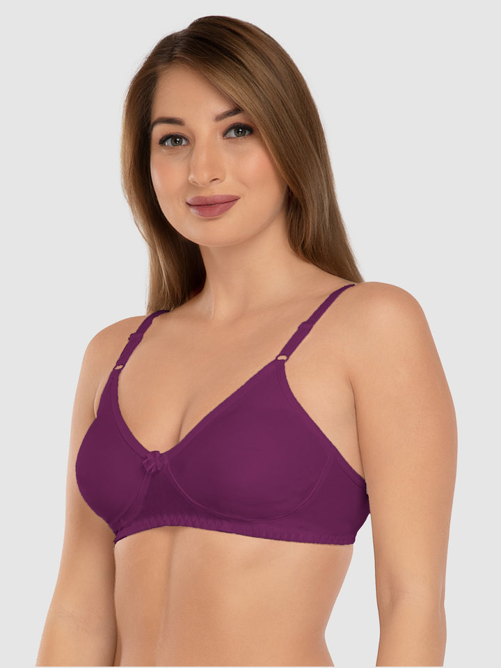 Daisy Dee A.Rose and Berry Non Padded Wirefree Full Coverage Bra Pack of 2 - NLBLA-2PK-A.ROSE/BERRY